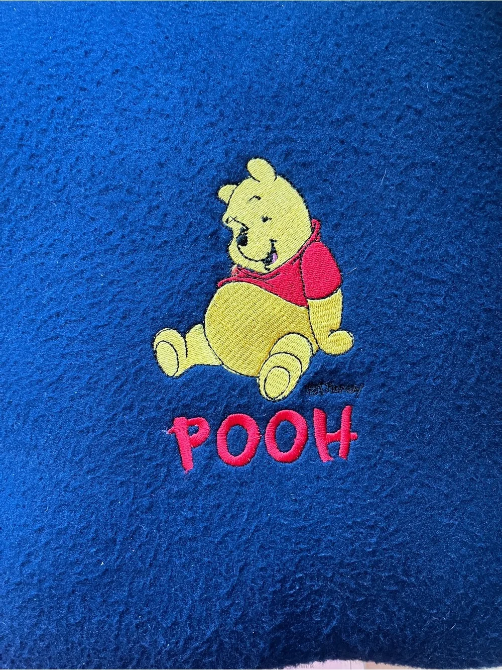 Winnie the Pooh Blue Embroidered Kids Cushion